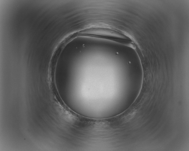 X0000074260979200608251222