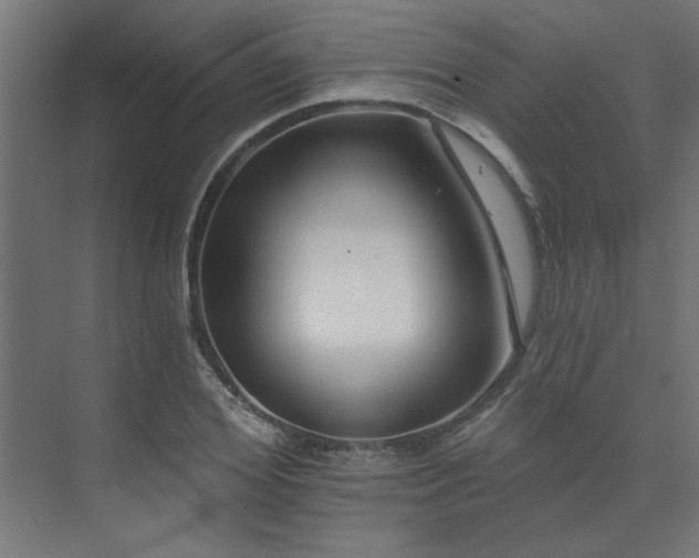 X0000074260980200608251221