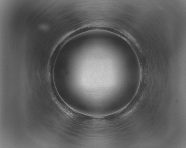 X0000074260981200608251221