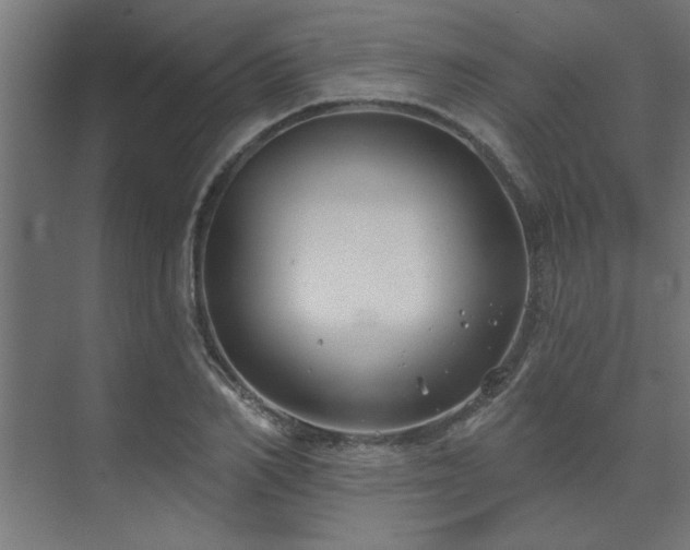 X0000074260982200608251221