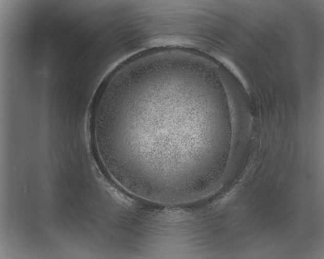 X0000074260983200608251221