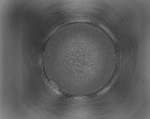 X0000074260985200608251221