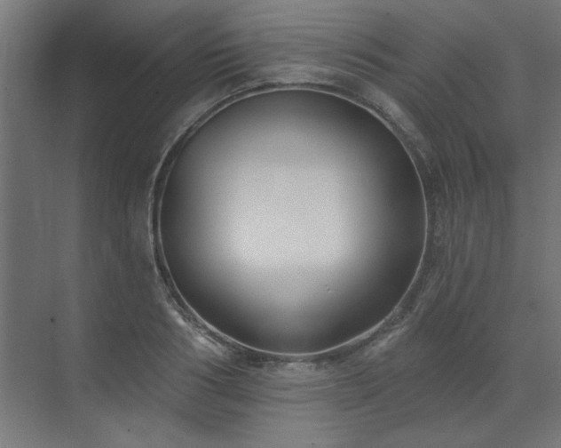 X0000074260986200608251221