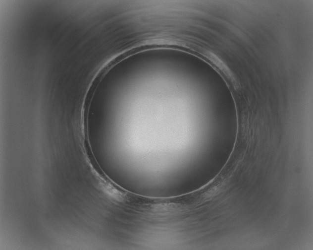 X0000074260988200608251221