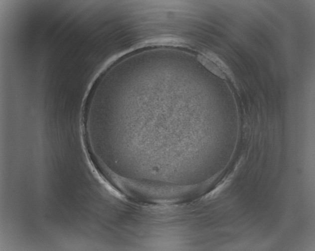 X0000074260989200608251221