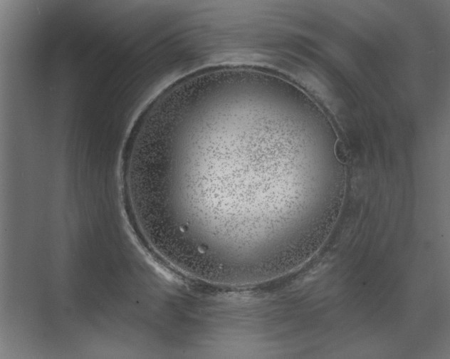 X0000074260990200608251221