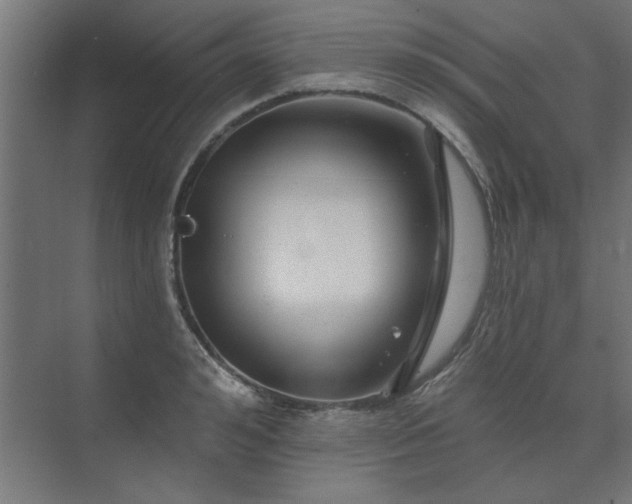 X0000074260992200608251221