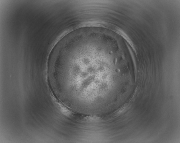 X0000074260994200608251221