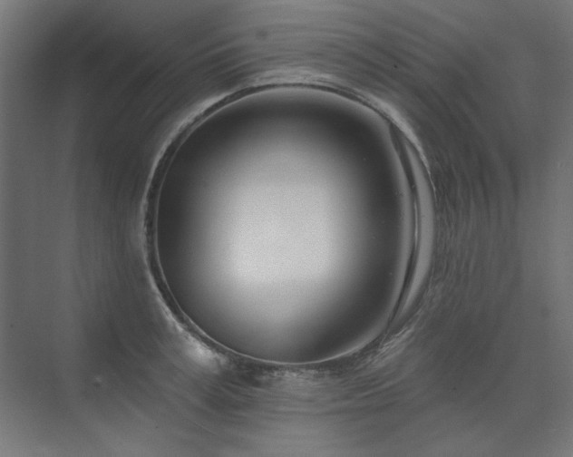 X0000074260995200608251221