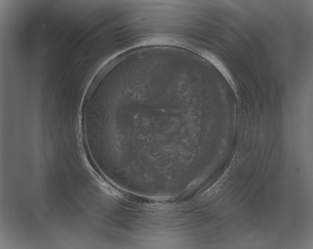 X0000074260996200608251221