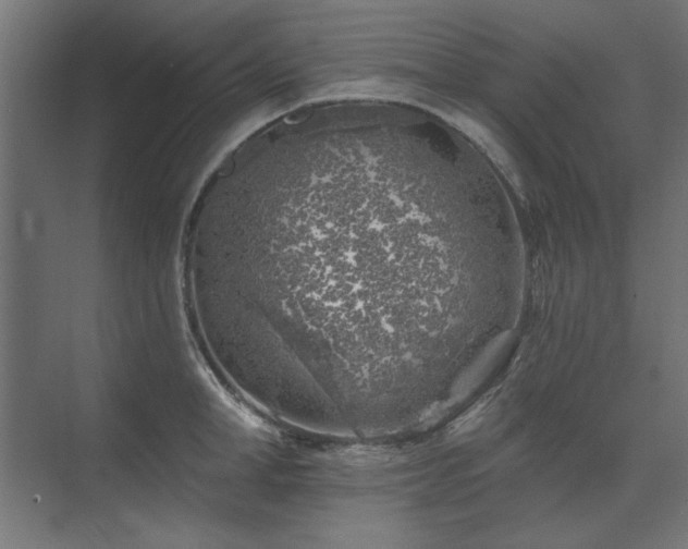 X0000074260998200608251221