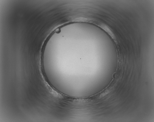 X0000074261000200608251221