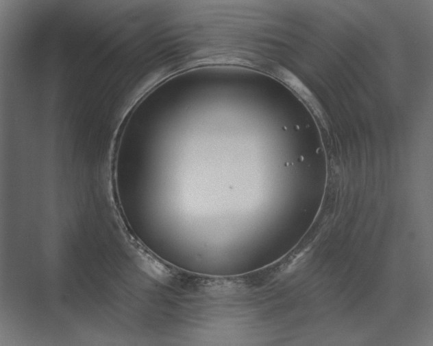 X0000074261002200608251221