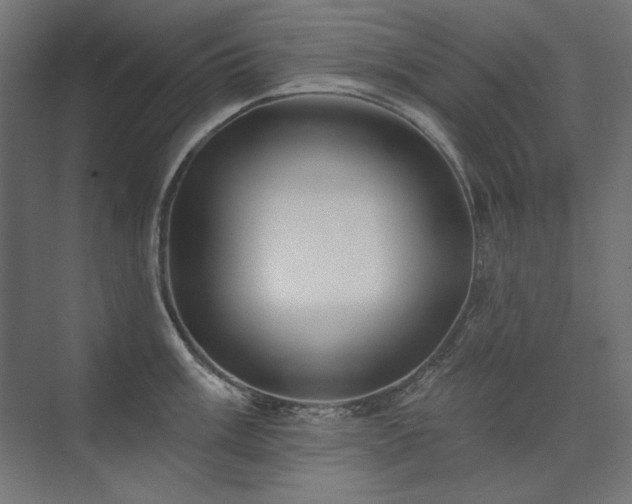 X0000074261003200608251221