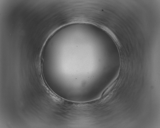 X0000074261004200608251221