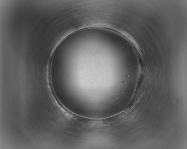 X0000074261006200608251221