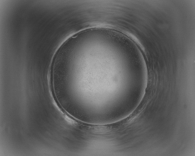 X0000074261007200608251221