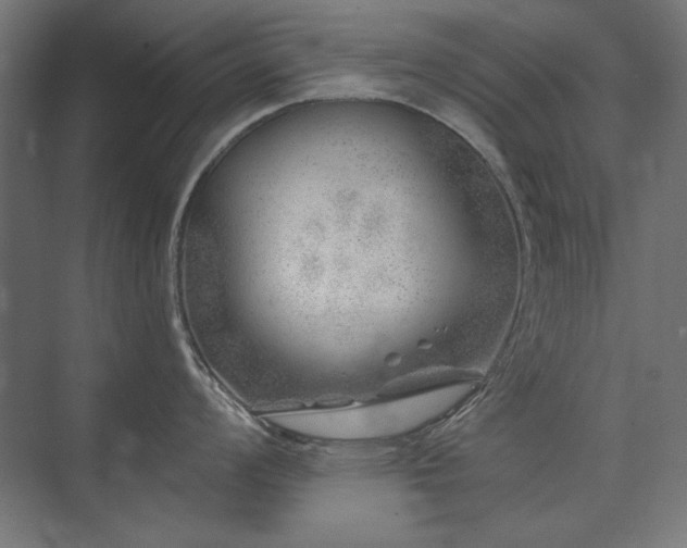 X0000074261008200608251221