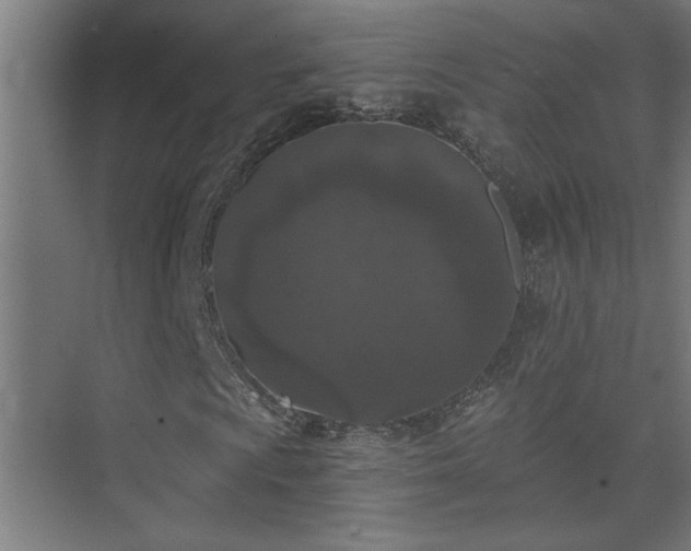 X0000074261009200608251220