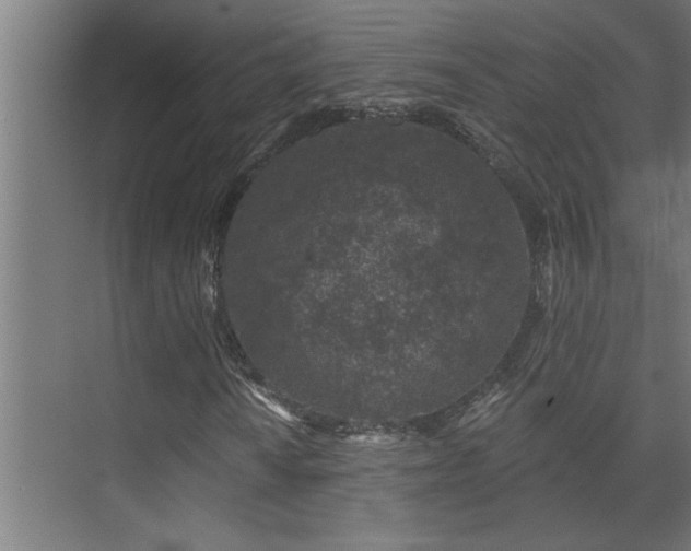 X0000074261010200608251220