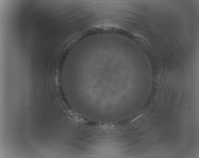 X0000074261014200608251220