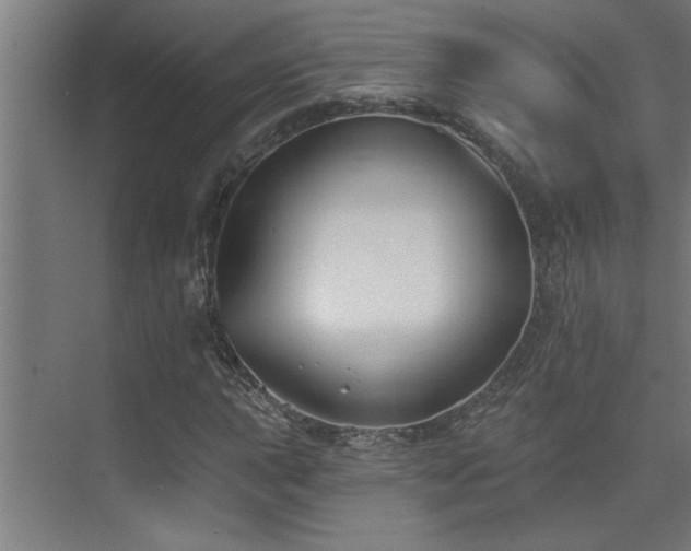 X0000074261015200608251220