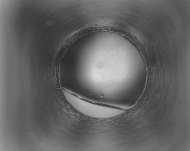 X0000074261016200608251220