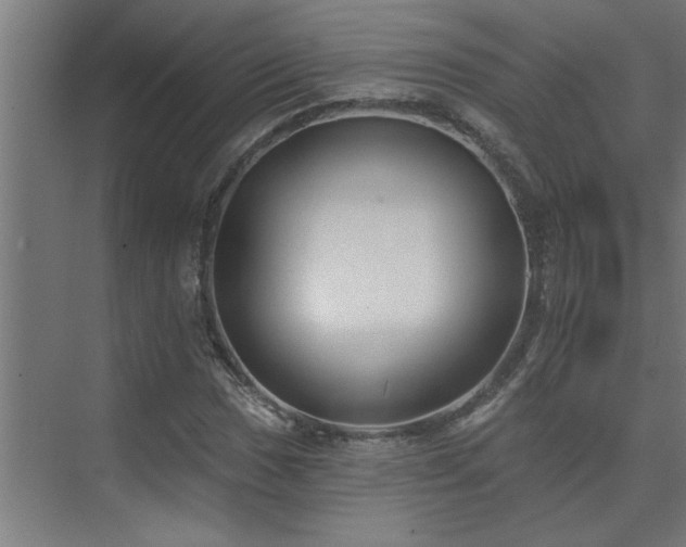 X0000074261017200608251220