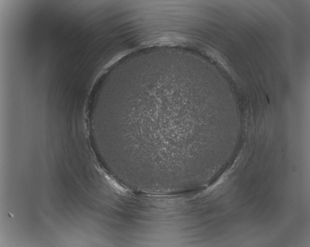 X0000074261018200608251220