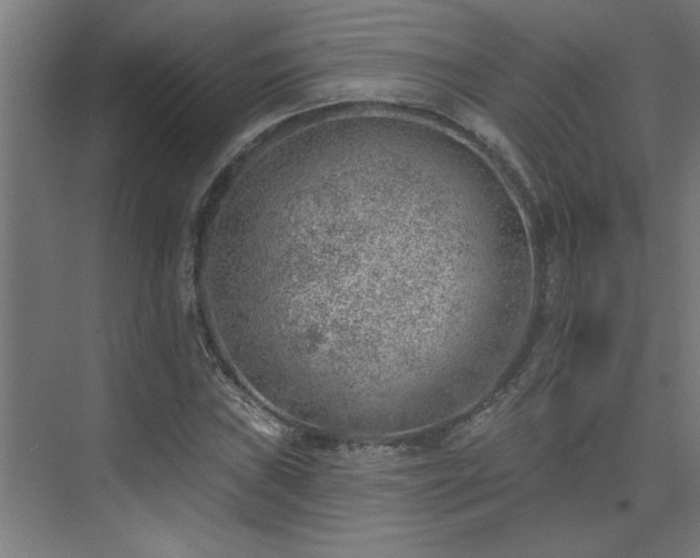 X0000074261019200608251220