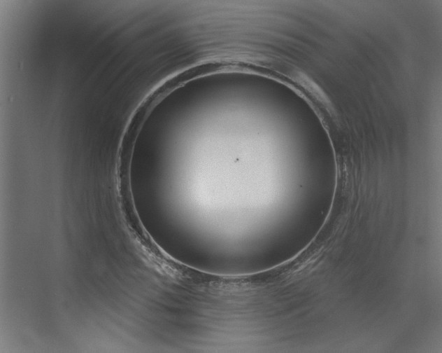 X0000074261020200608251220