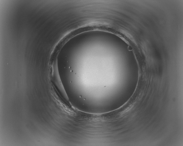 X0000074261021200608251220