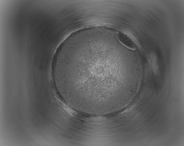 X0000074261023200608251220