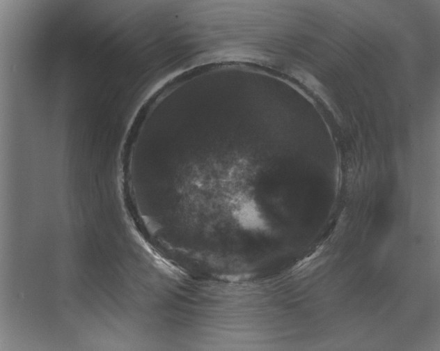 X0000074261024200608251220