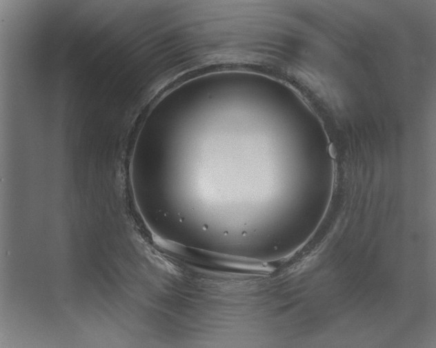 X0000074261025200608251220