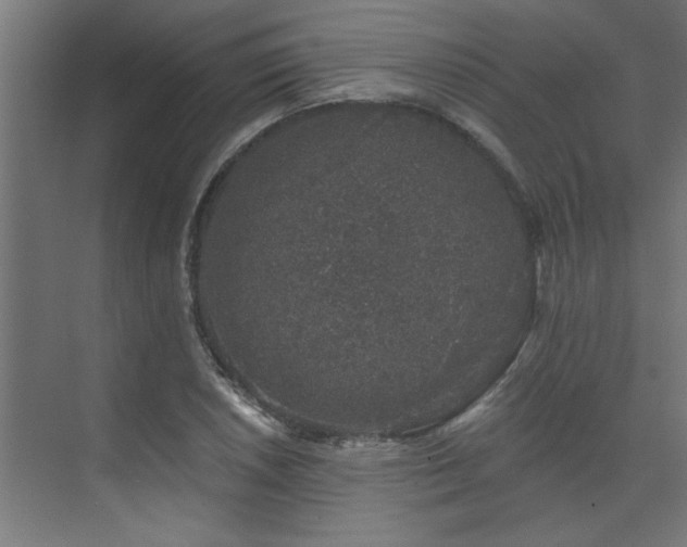 X0000074261026200608251220