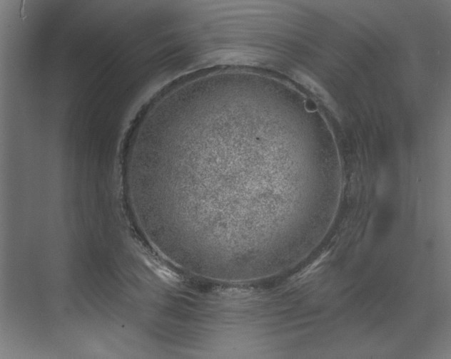 X0000074261027200608251220