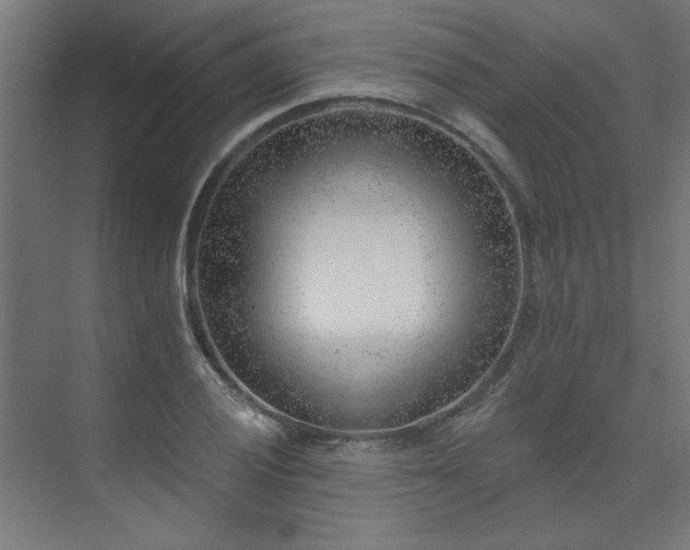 X0000074261028200608251221