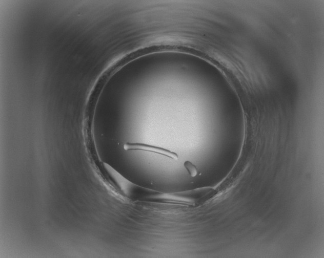 X0000074261029200608251221