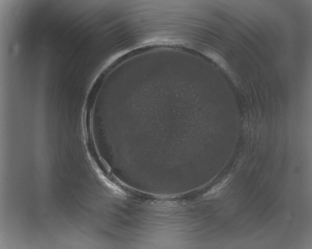 X0000074261030200608251221