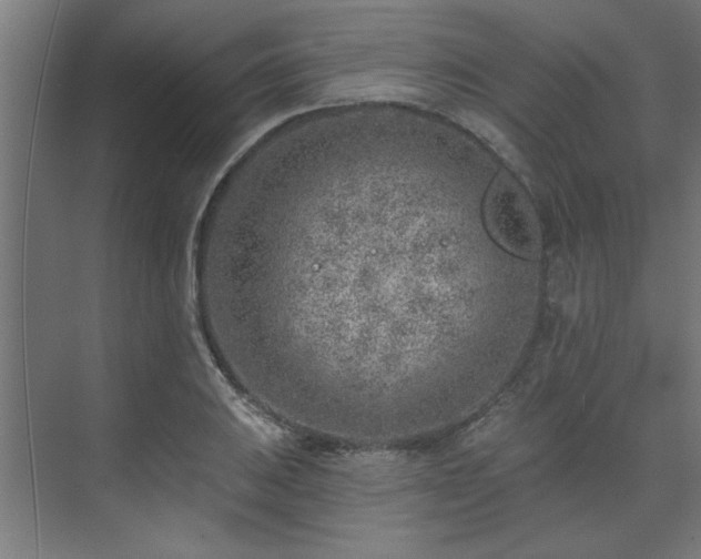 X0000074261031200608251221