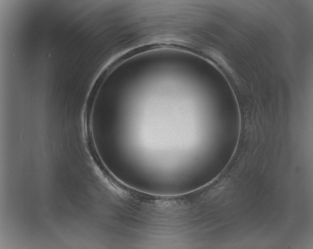 X0000074261032200608251221