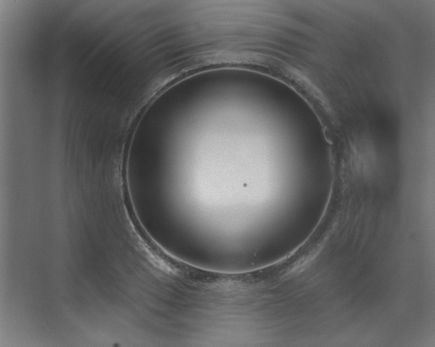 X0000074261033200608251221