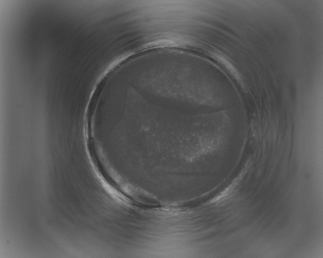 X0000074261034200608251221