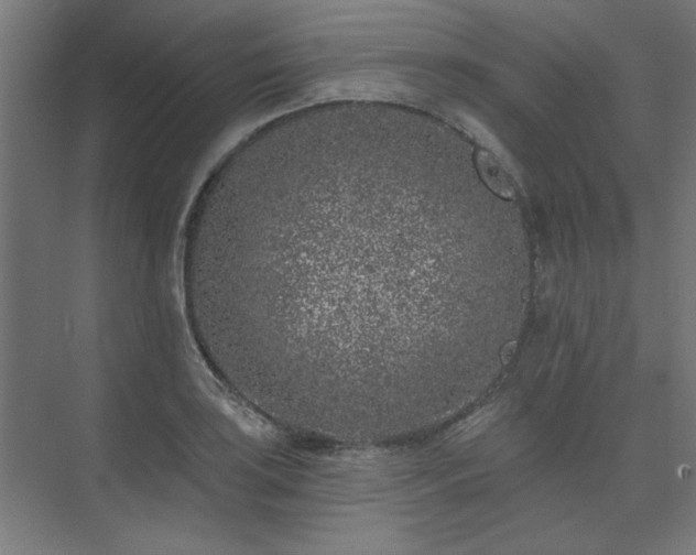 X0000074261035200608251221