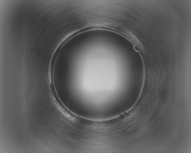 X0000074261036200608251221