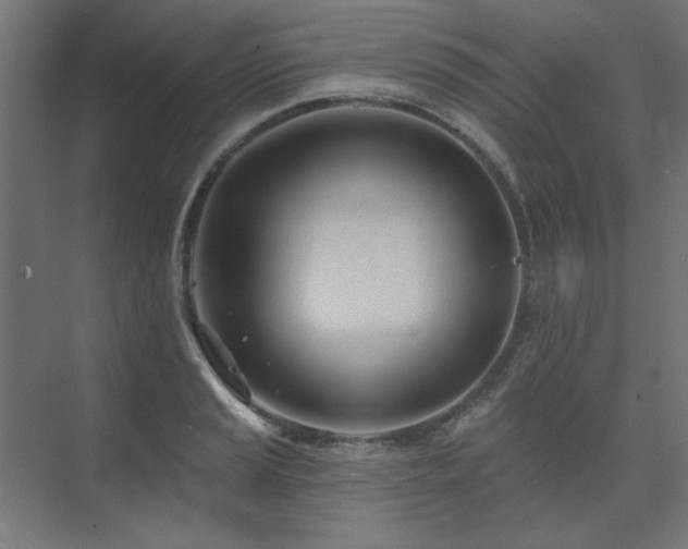 X0000074261037200608251221