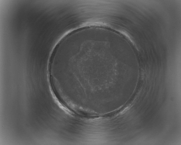 X0000074261038200608251221