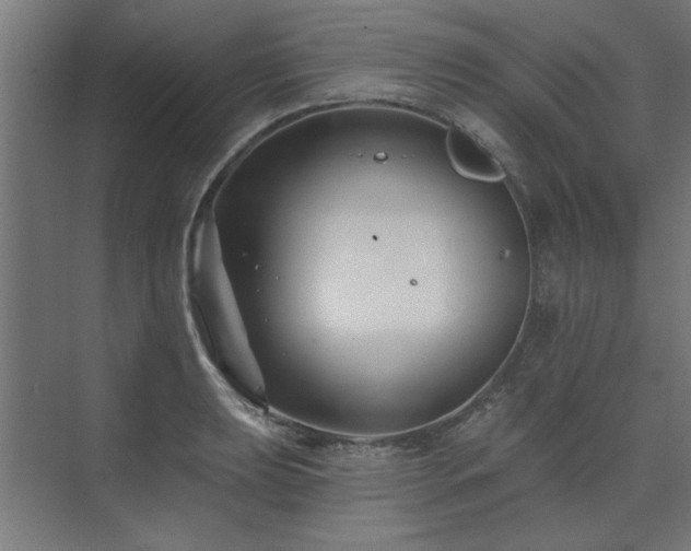 X0000074261039200608251221