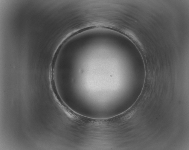 X0000074261040200608251221